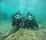 沖縄マリンサービス碧に投稿された画像（2025/4/26）