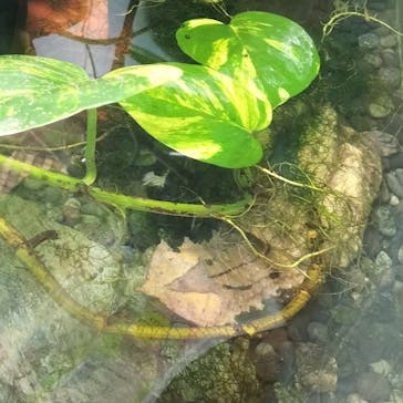 名古屋市東山動植物園に投稿された画像（2025/4/26）