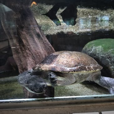 名古屋市東山動植物園に投稿された画像（2025/4/26）