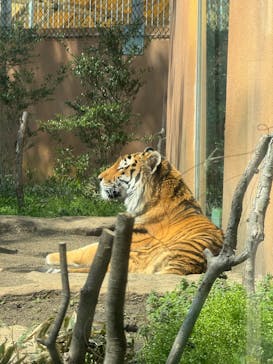 那須どうぶつ王国に投稿された画像（2025/4/26）