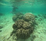 沖縄マリンサービス碧に投稿された画像（2025/4/26）