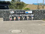 上越市立水族博物館 うみがたりに投稿された画像（2025/4/26）