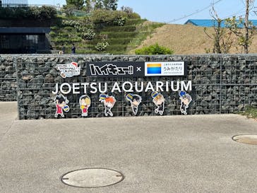 上越市立水族博物館 うみがたりに投稿された画像（2025/4/26）