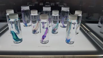 新世界『透明標本』展 ＠北九州市科学館に投稿された画像（2025/4/26）