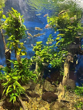 ゼロ距離水族館 伊勢シーパラダイスに投稿された画像（2025/4/26）