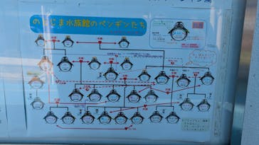 のとじま水族館に投稿された画像（2025/4/26）