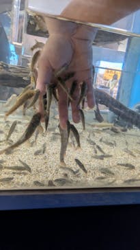 のとじま水族館に投稿された画像（2025/4/26）