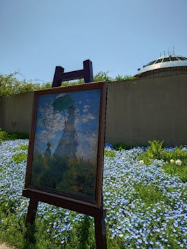 ガーデンミュージアム比叡に投稿された画像（2025/4/26）