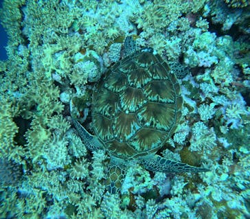  マリンショップHAPPYに投稿された画像（2025/4/26）