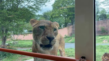 東京動物園協会_多摩動物公園に投稿された画像（2025/4/26）