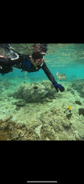 武藤潜水に投稿された画像（2025/4/26）