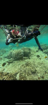 武藤潜水に投稿された画像（2025/4/26）