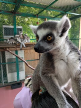 那須ワールドモンキーパークに投稿された画像（2025/4/26）