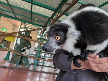 那須ワールドモンキーパークに投稿された画像（2025/4/26）