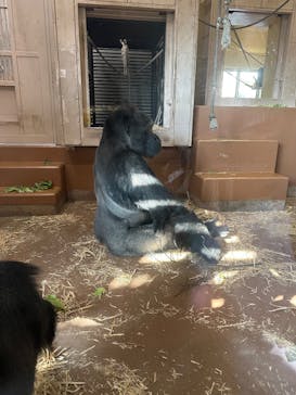 名古屋市東山動植物園に投稿された画像（2025/4/26）