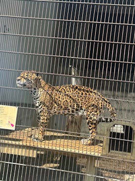 名古屋市東山動植物園に投稿された画像（2025/4/26）