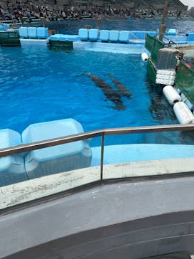 名古屋港水族館に投稿された画像（2025/4/26）