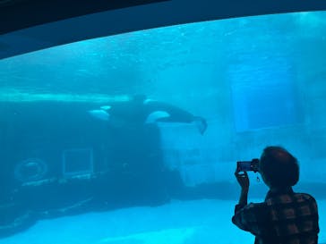 名古屋港水族館に投稿された画像（2025/4/26）