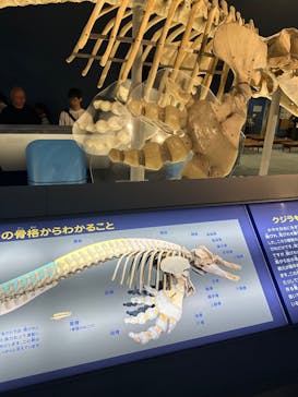 名古屋港水族館に投稿された画像（2025/4/26）