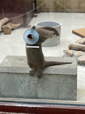 横浜・八景島シーパラダイスに投稿された画像（2025/4/26）