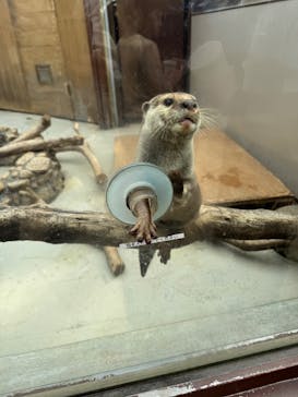 横浜・八景島シーパラダイスに投稿された画像（2025/4/26）