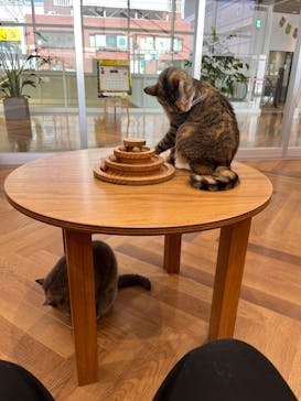 アソビュー株式会社 162724に投稿された画像（2025/4/26）