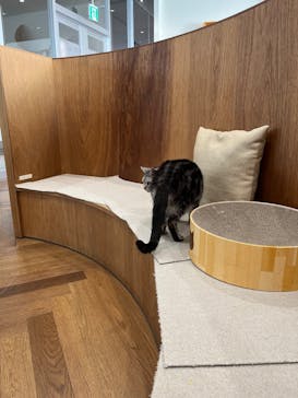 アソビュー株式会社 162724に投稿された画像（2025/4/26）