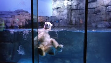 横浜・八景島シーパラダイスに投稿された画像（2025/4/26）