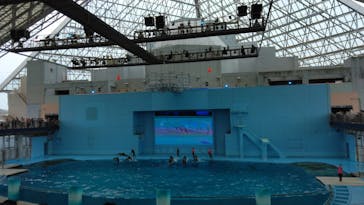 横浜・八景島シーパラダイスに投稿された画像（2025/4/26）