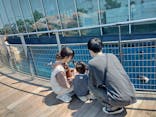 上越市立水族博物館 うみがたりに投稿された画像（2025/4/26）