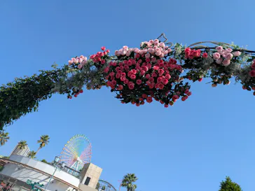 ひらかたパークに投稿された画像（2025/4/26）