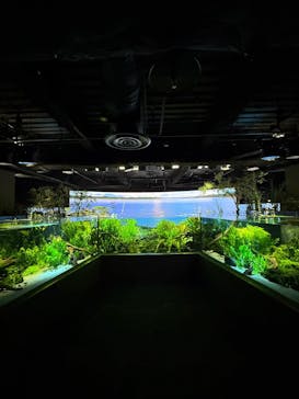 カワスイ 川崎⽔族館に投稿された画像（2025/4/26）