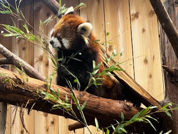 伊豆シャボテン動物公園に投稿された画像（2025/4/26）