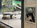 恩賜上野動物園に投稿された画像（2025/4/26）