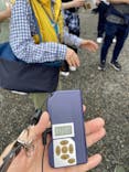 京都市観光協会（催行運営：株式会社らくたび）に投稿された画像（2025/4/26）