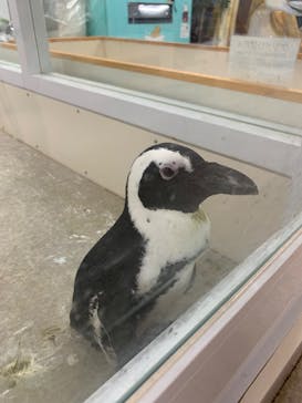 アニタッチ 東京ドームシティに投稿された画像（2025/4/26）