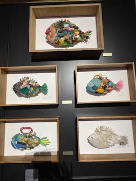 AQUARIUM × ART　atoaに投稿された画像（2025/4/26）