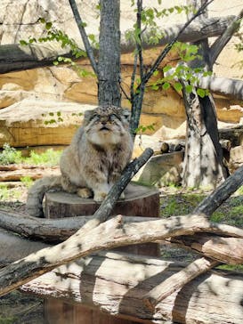 那須どうぶつ王国に投稿された画像（2025/4/26）