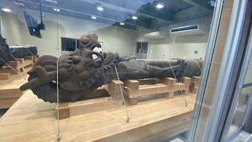 首里城公園 有料区域に投稿された画像（2025/4/26）