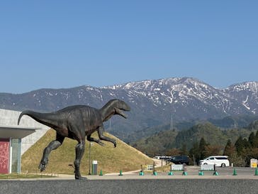福井県立恐竜博物館に投稿された画像（2025/4/26）