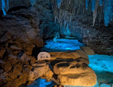 おきなわワールドに投稿された画像（2025/4/26）