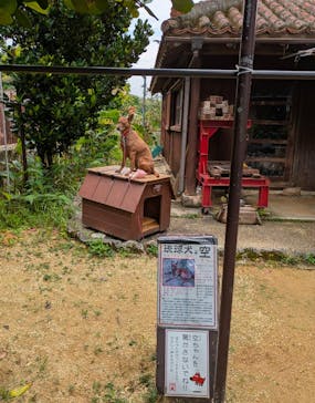 おきなわワールドに投稿された画像（2025/4/26）