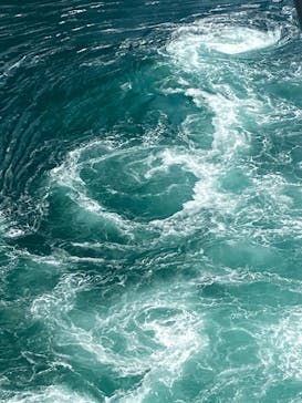 徳島県立 渦の道に投稿された画像（2025/4/26）