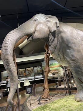 滋賀県立琵琶湖博物館に投稿された画像（2025/4/26）