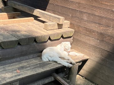 大阪府立花の文化園に投稿された画像（2025/4/26）