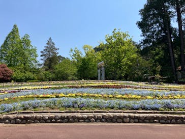 大阪府立花の文化園に投稿された画像（2025/4/26）