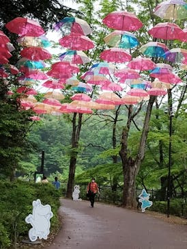 ムーミンバレーパークに投稿された画像（2025/4/26）