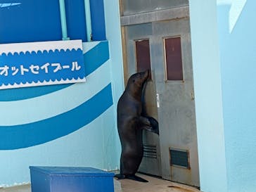 竹島水族館に投稿された画像（2025/4/26）