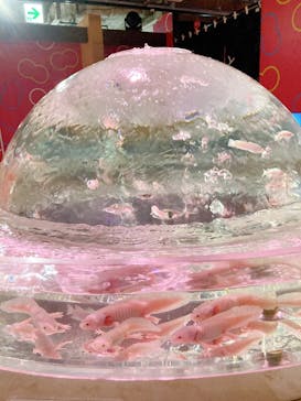 NARA IKIMONO MUSEUMに投稿された画像（2025/4/26）