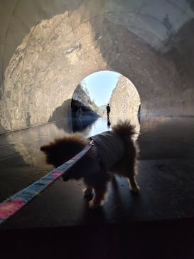 清津峡渓谷トンネルに投稿された画像（2025/4/26）